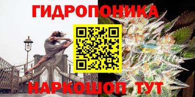 винт Чапаевск