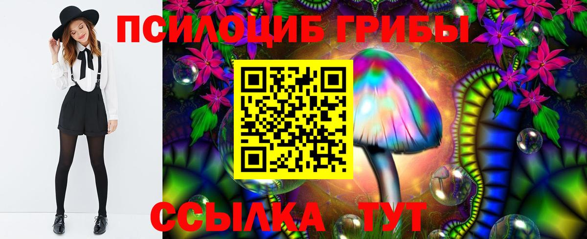 где можно купить наркотик  Галлюциногенные грибы MAGIC MUSHROOMS  Вход с VPN  Набережные Челны 